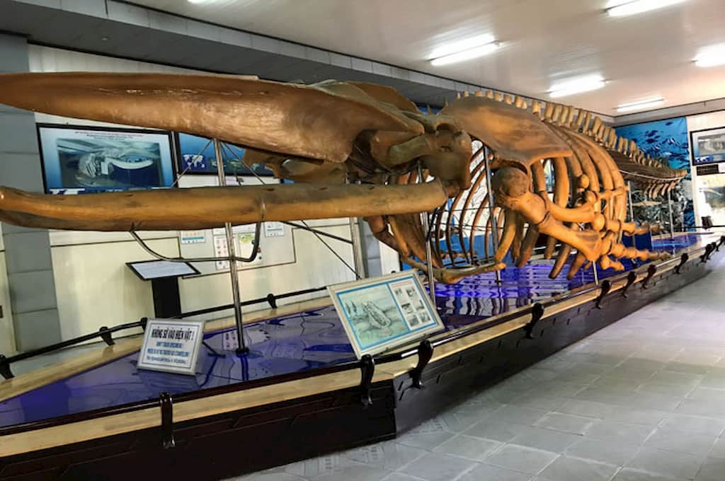 Institute of Oceanography, Nha Trang picture
